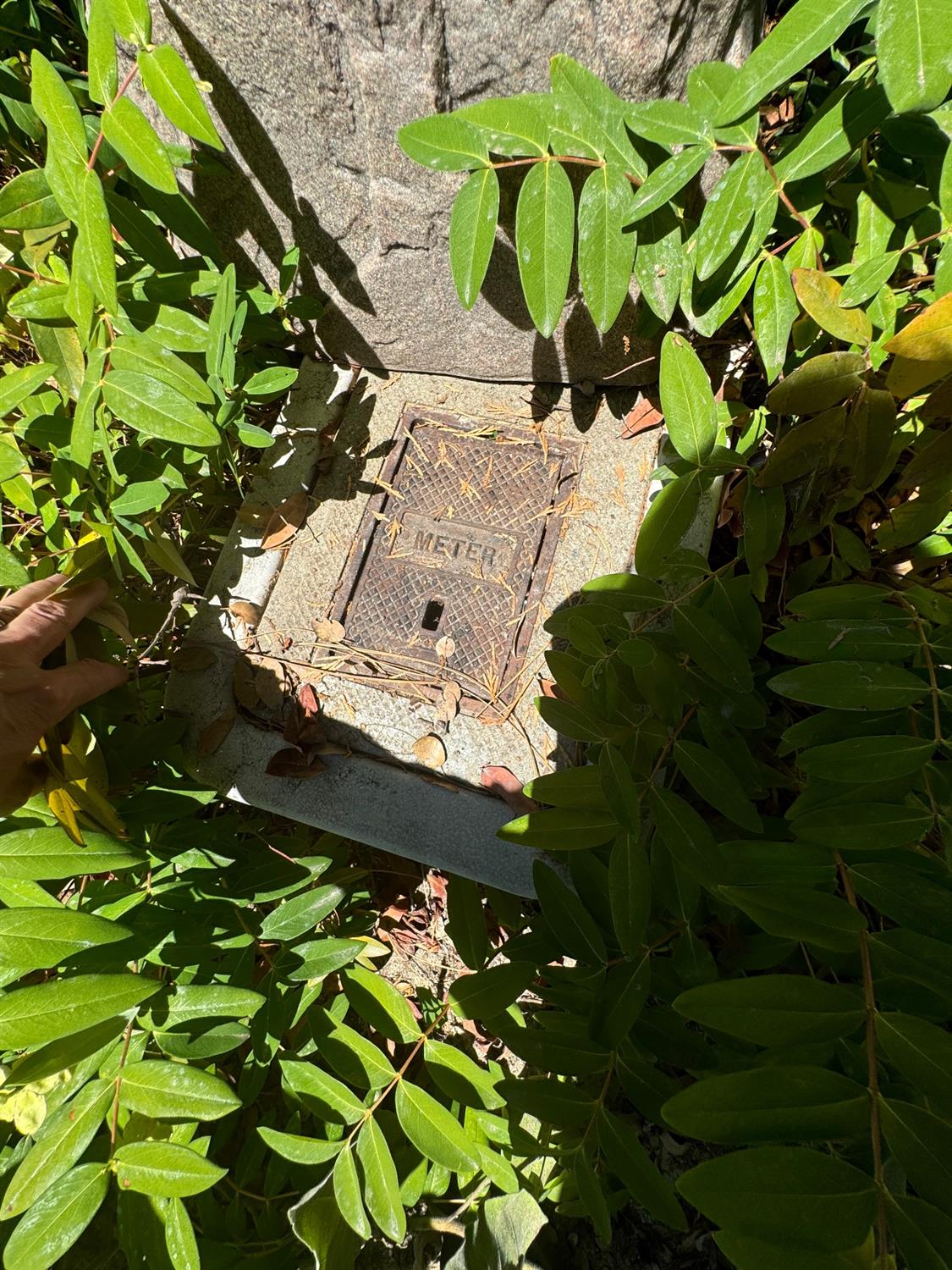 8 N Cedar Vista Circle, Bass Lake, CA 93604