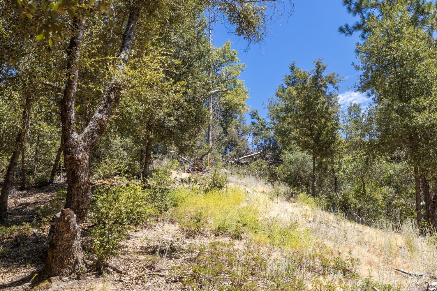 8 N Cedar Vista Circle, Bass Lake, CA 93604