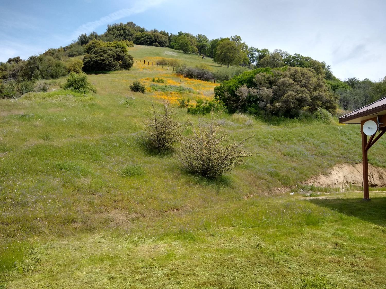 44981 Todd Eymann Rd, Miramonte, CA 93641