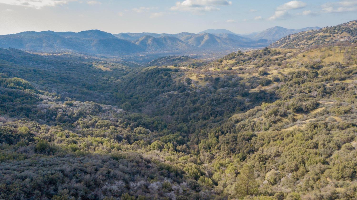 44981 Todd Eymann Rd, Miramonte, CA 93641