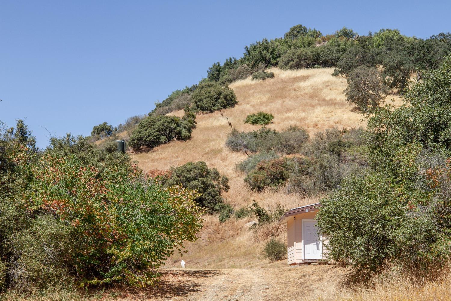 44981 Todd Eymann Rd, Miramonte, CA 93641