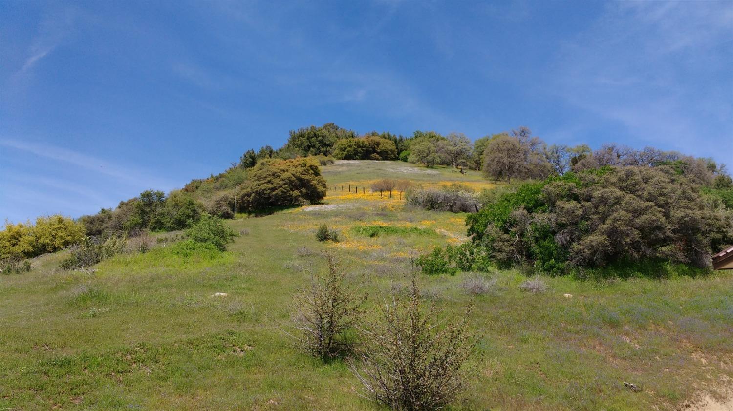 44981 Todd Eymann Rd, Miramonte, CA 93641