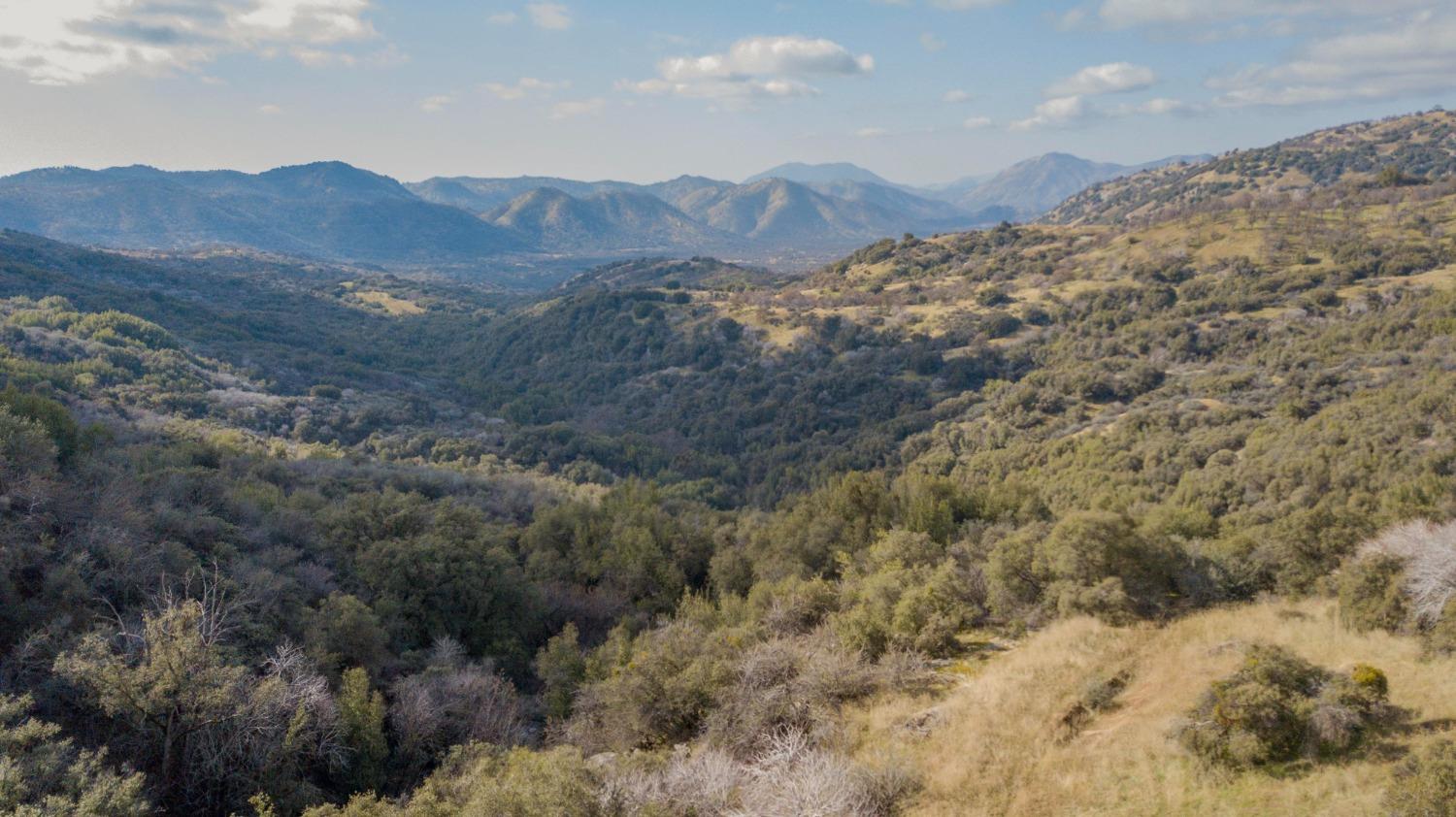 44981 Todd Eymann Rd, Miramonte, CA 93641