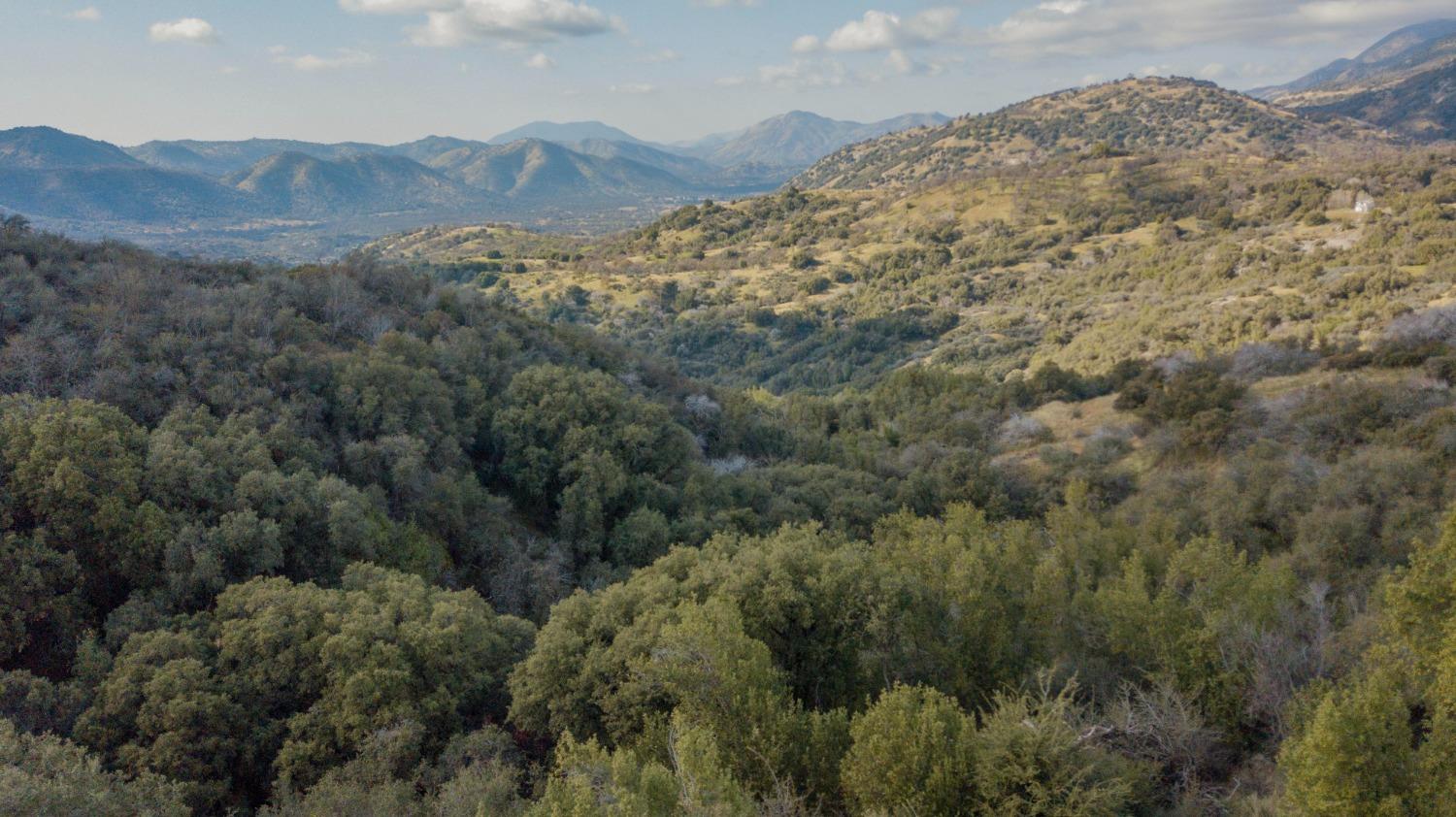 44981 Todd Eymann Rd, Miramonte, CA 93641