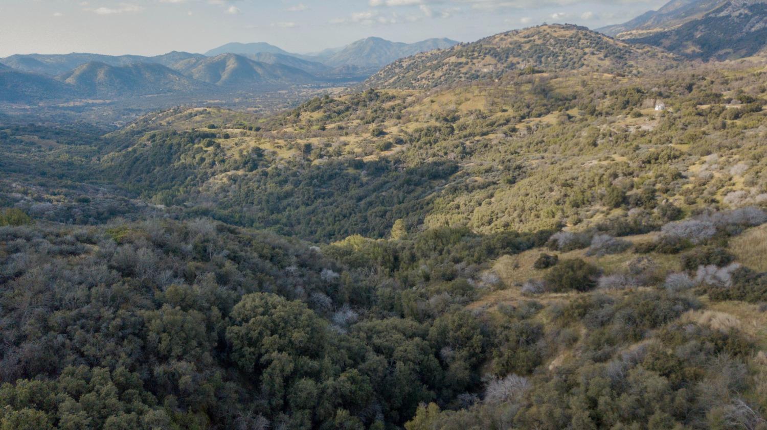 44981 Todd Eymann Rd, Miramonte, CA 93641