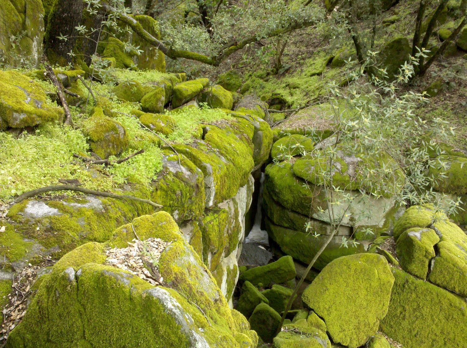 44981 Todd Eymann Rd, Miramonte, CA 93641