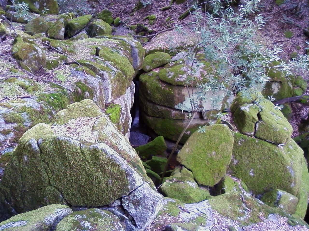 44981 Todd Eymann Rd, Miramonte, CA 93641