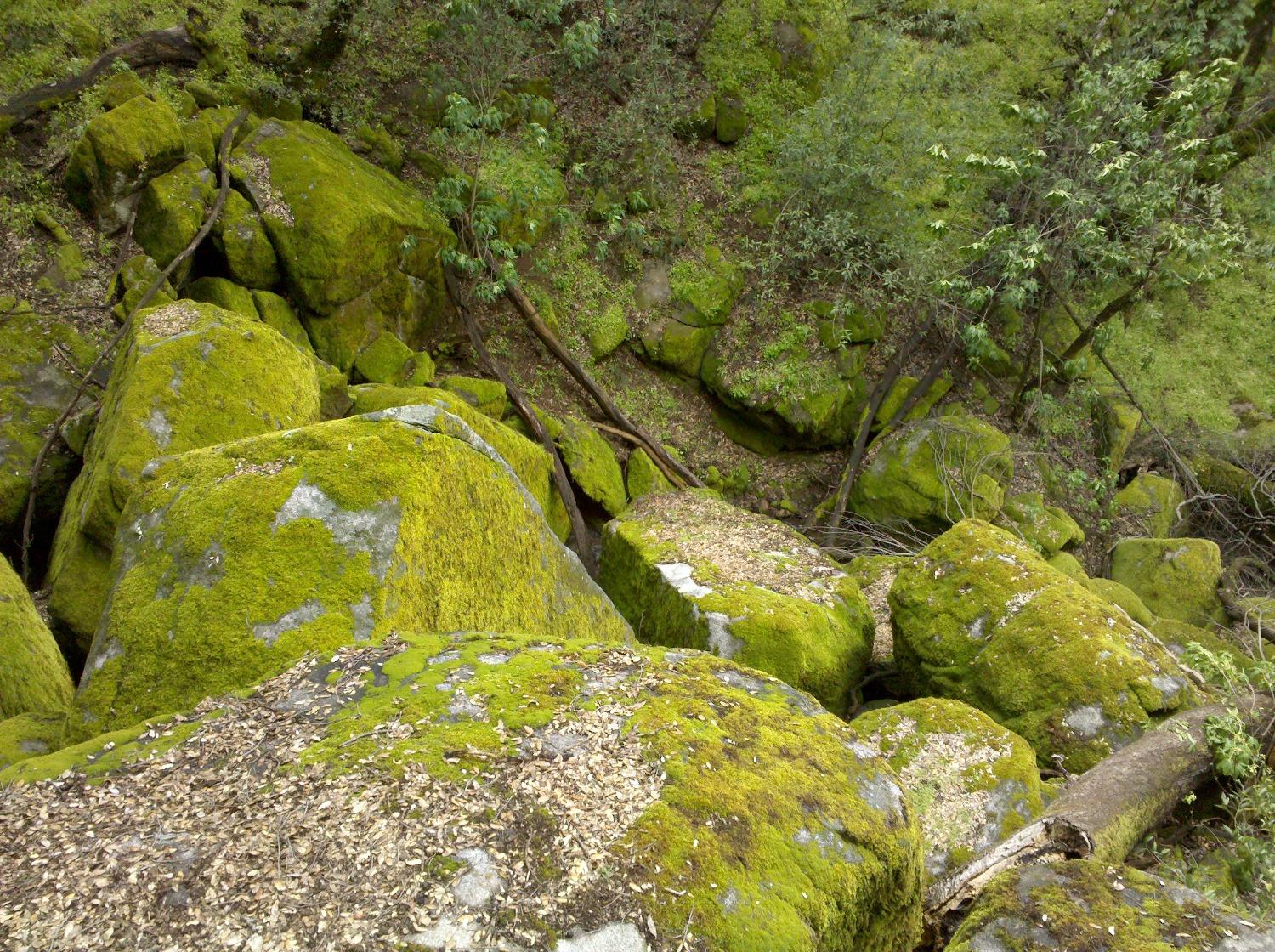 44981 Todd Eymann Rd, Miramonte, CA 93641