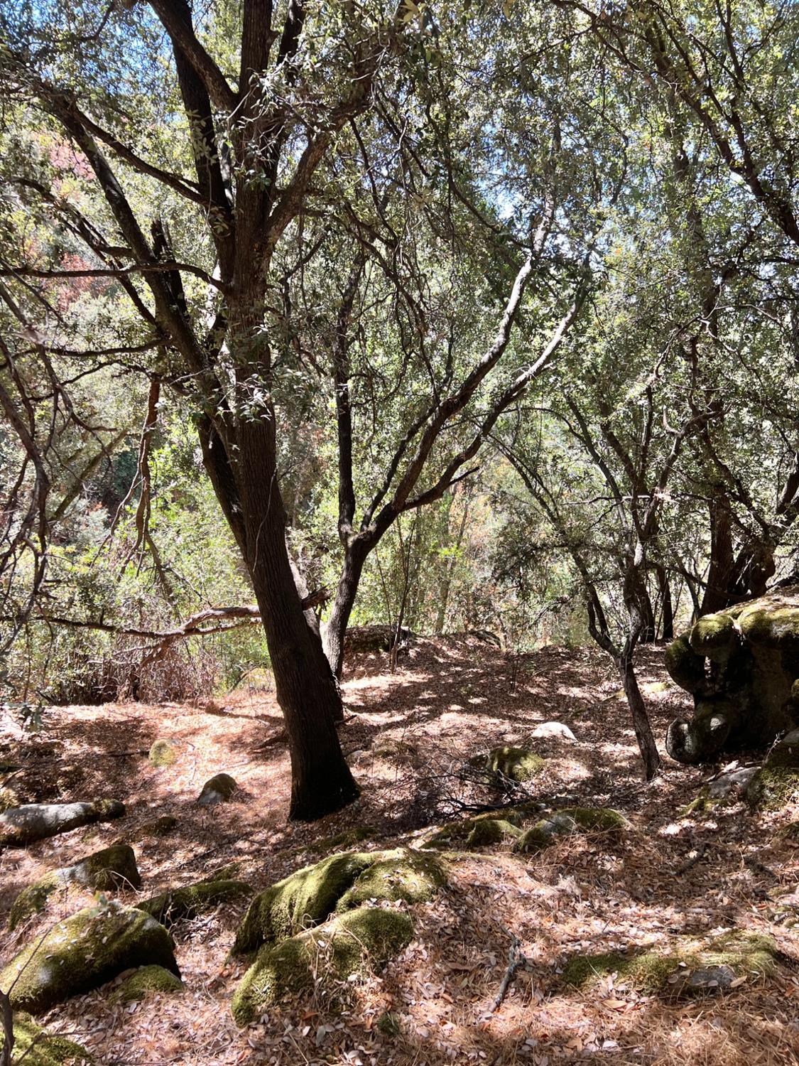 44981 Todd Eymann Rd, Miramonte, CA 93641