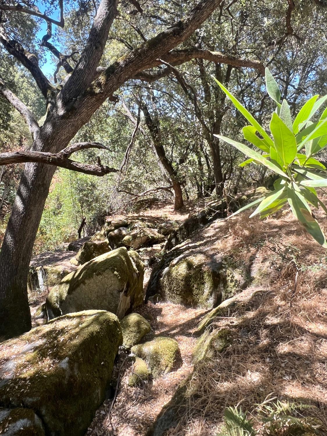 44981 Todd Eymann Rd, Miramonte, CA 93641