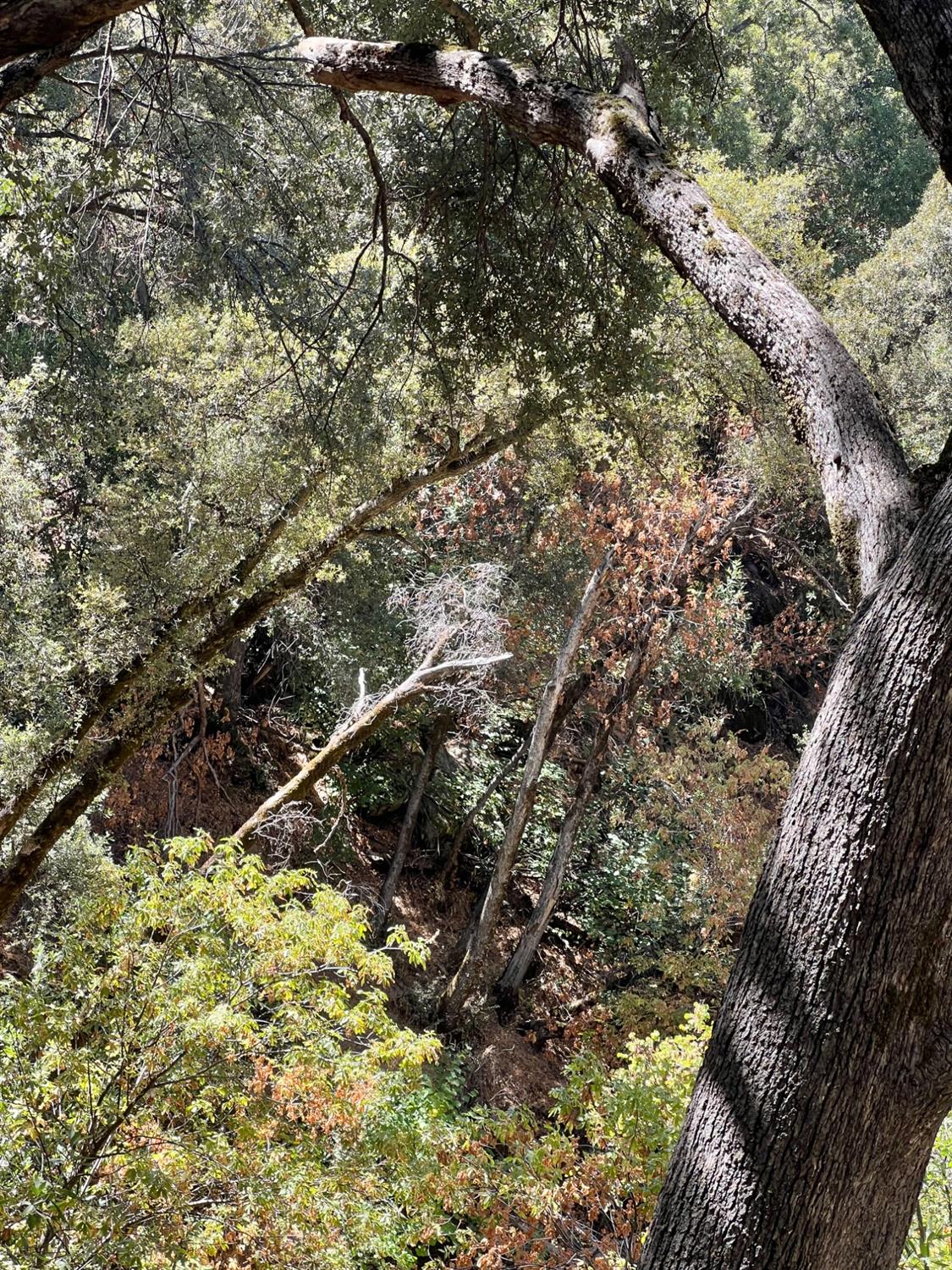 44981 Todd Eymann Rd, Miramonte, CA 93641