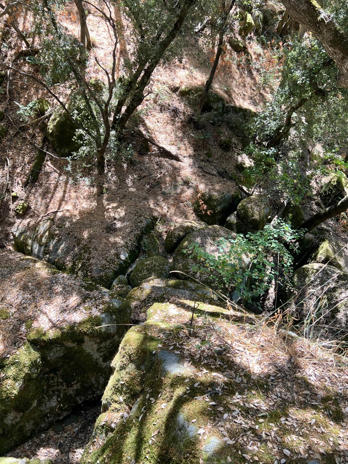 44981 Todd Eymann Rd, Miramonte, CA 93641