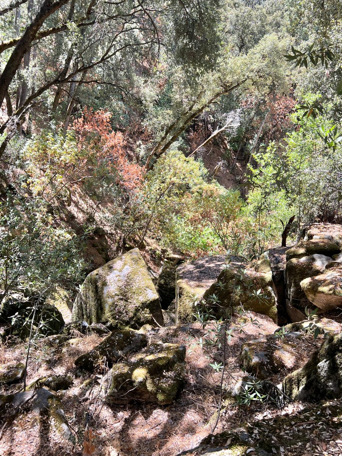 44981 Todd Eymann Rd, Miramonte, CA 93641