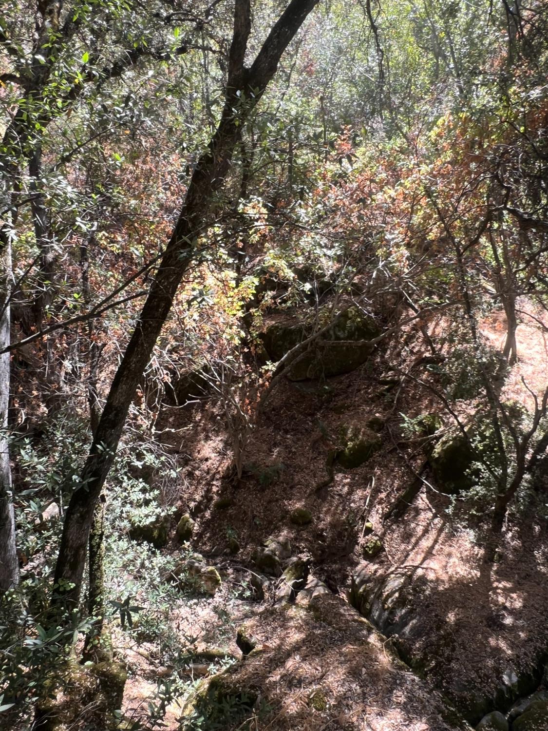 44981 Todd Eymann Rd, Miramonte, CA 93641