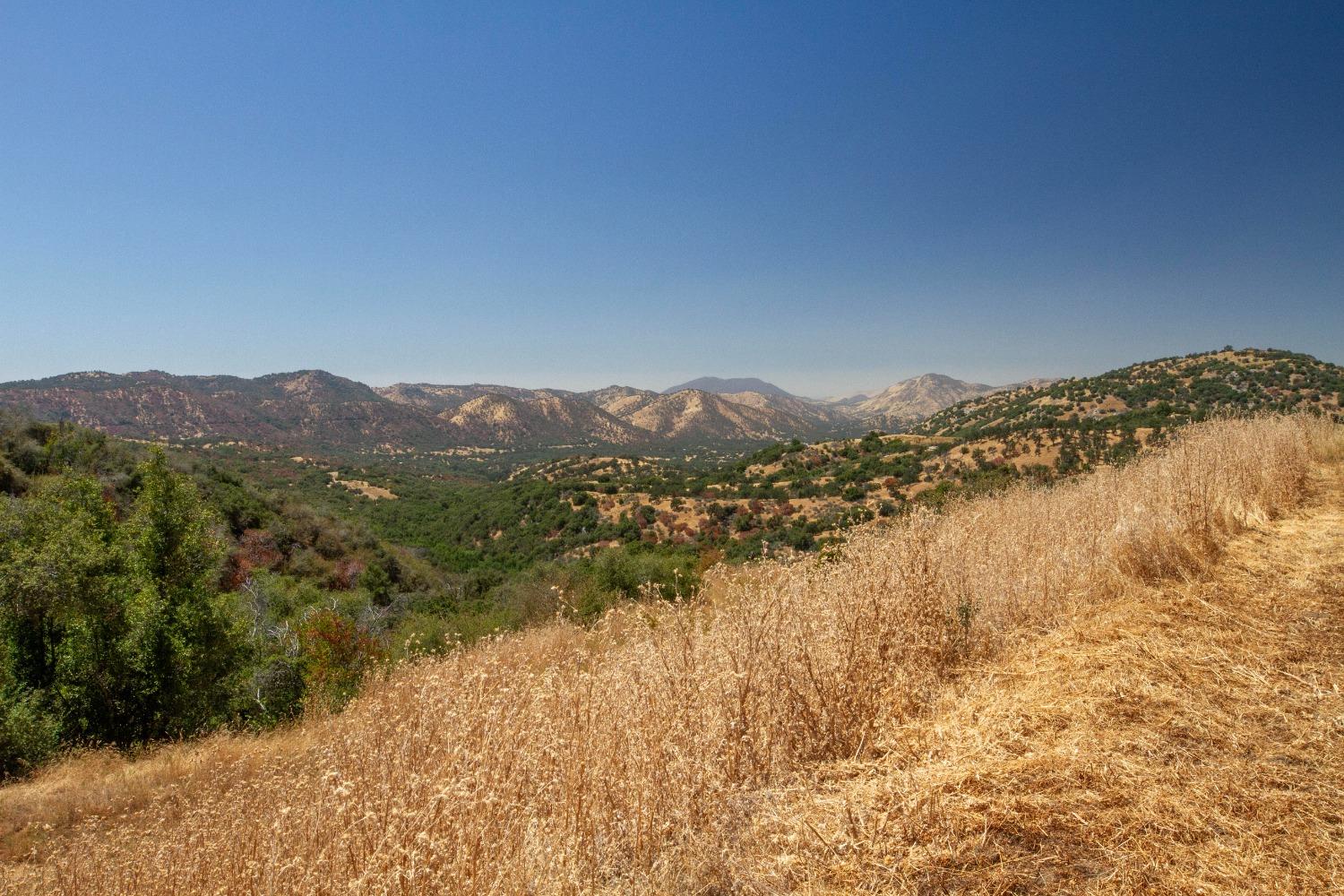 44981 Todd Eymann Rd, Miramonte, CA 93641