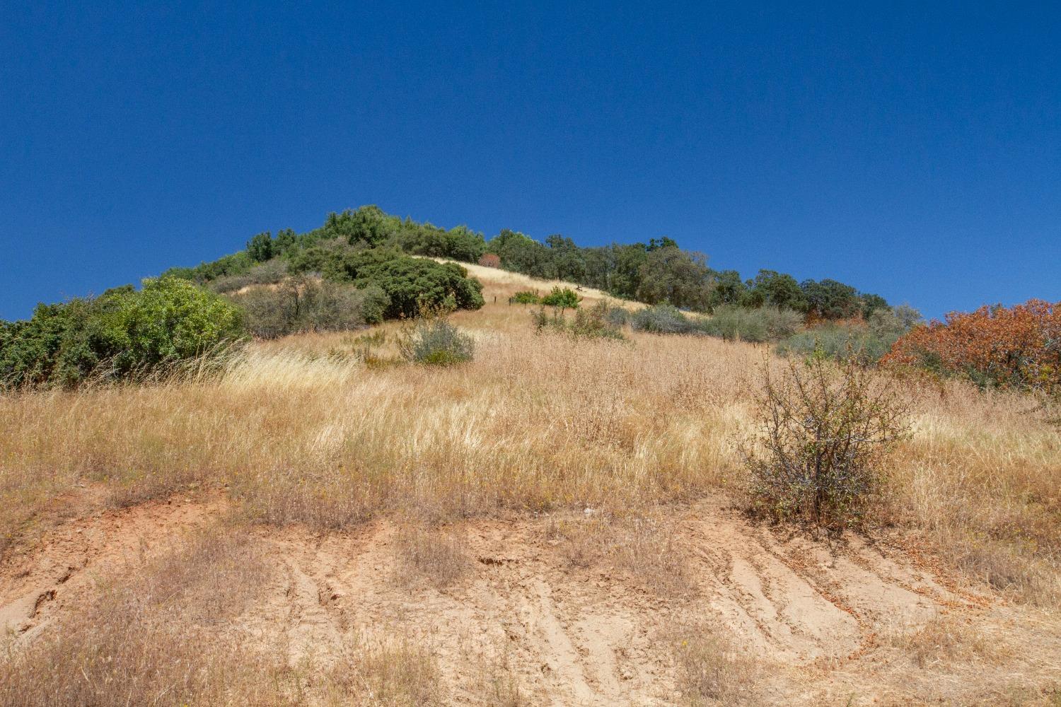 44981 Todd Eymann Rd, Miramonte, CA 93641