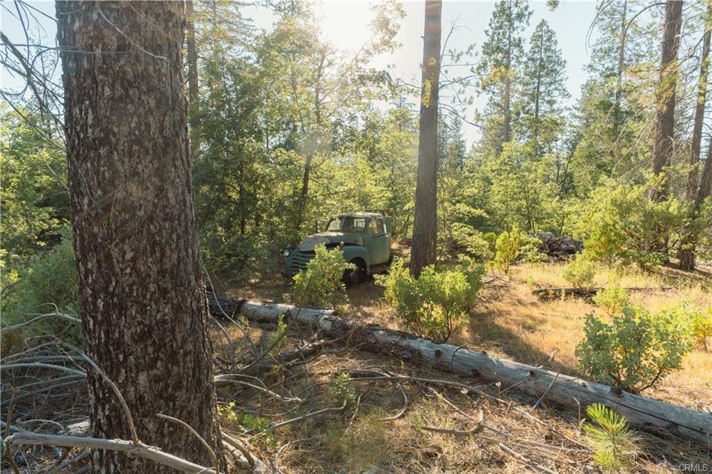 10902 Stout Lane, Coulterville, CA 95311