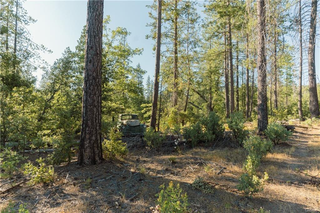 10902 Stout Lane, Coulterville, CA 95311