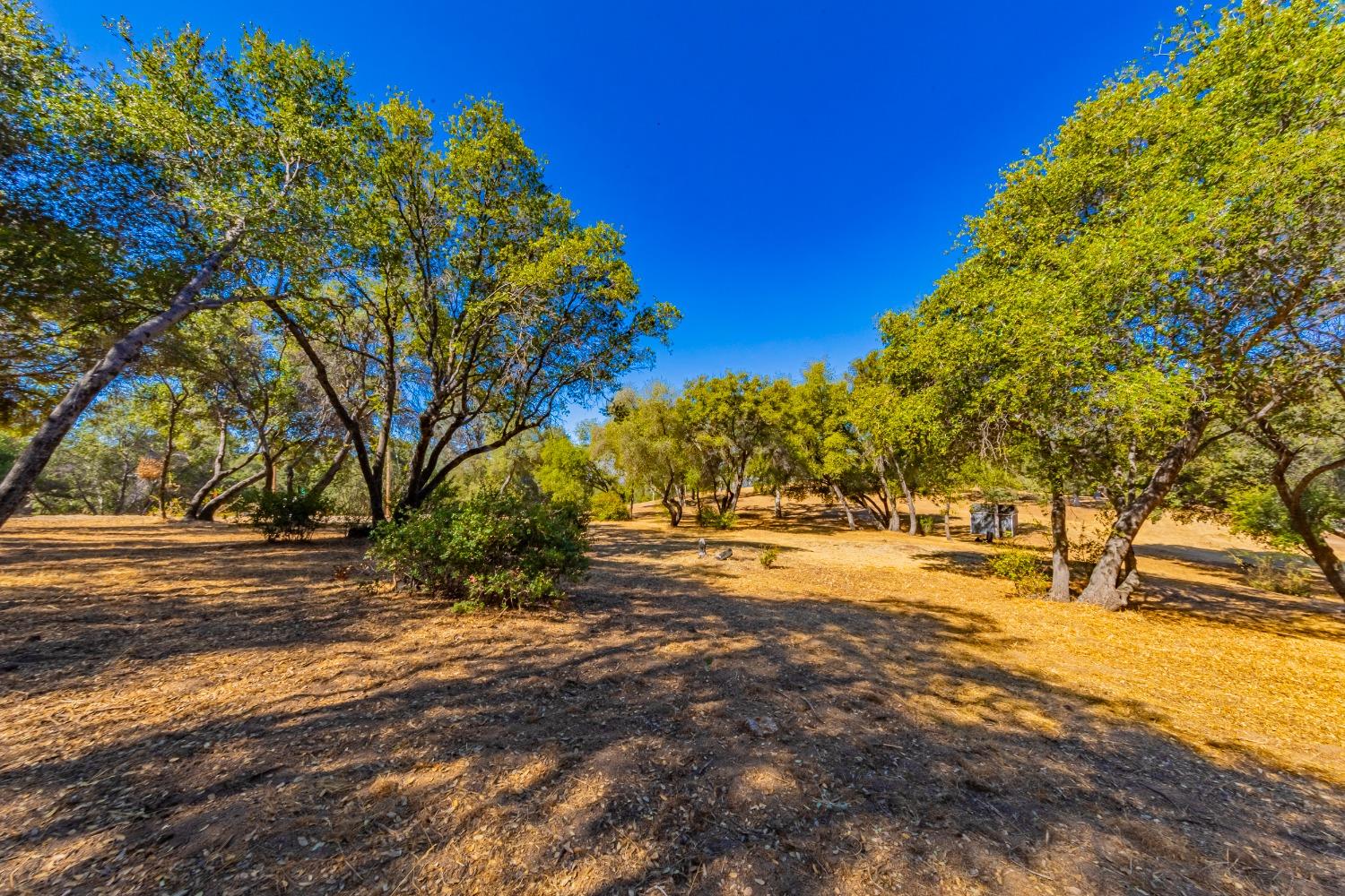 54544 020 Sunshine Terrace Dr, Coarsegold, CA 93614