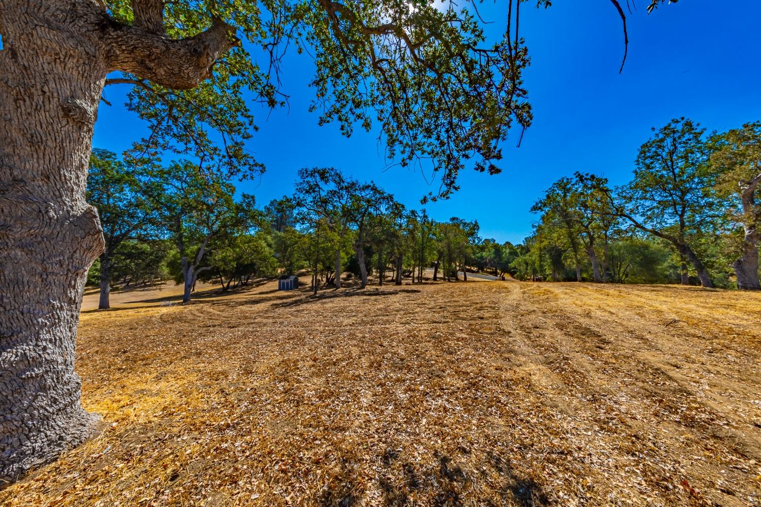 54544 020 Sunshine Terrace Dr, Coarsegold, CA 93614