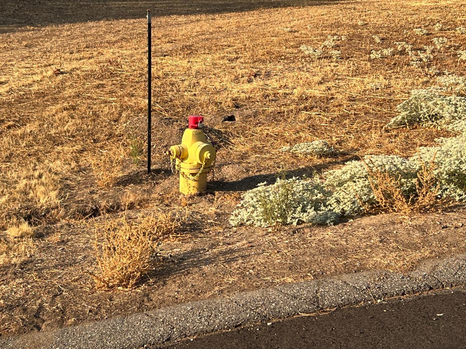 54544 020 Sunshine Terrace Dr, Coarsegold, CA 93614