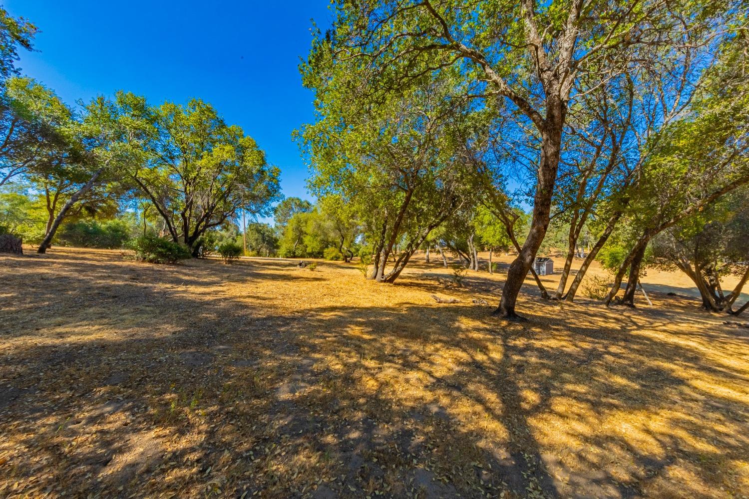 54544 020 Sunshine Terrace Dr, Coarsegold, CA 93614