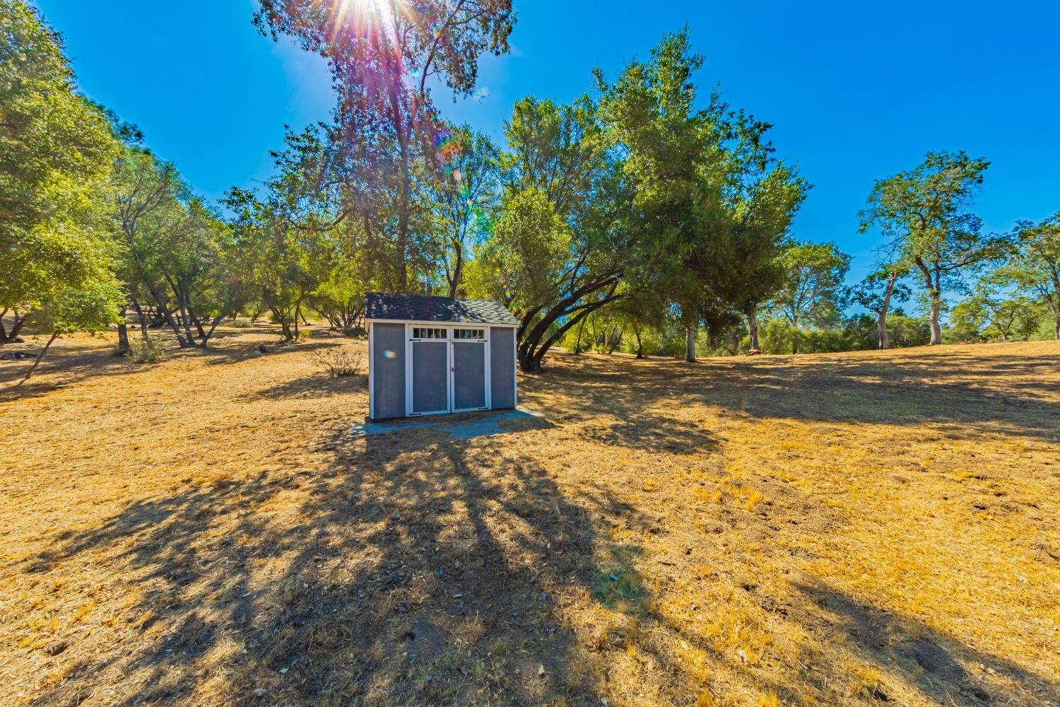 54544 020 Sunshine Terrace Dr, Coarsegold, CA 93614