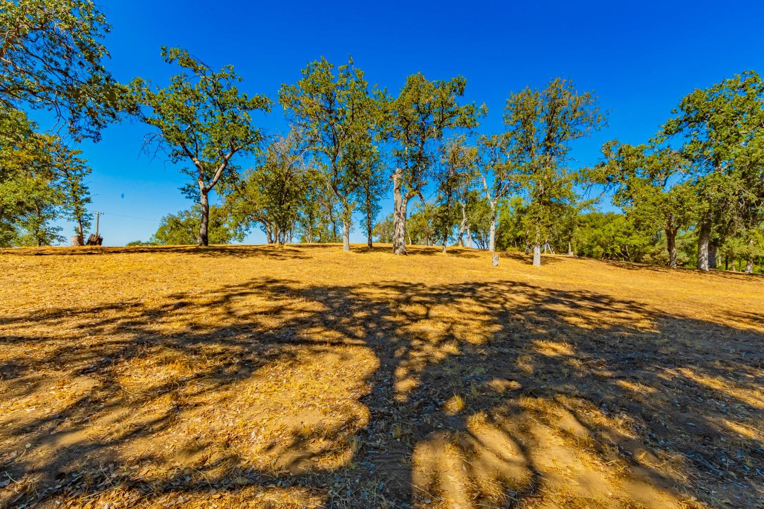 54544 020 Sunshine Terrace Dr, Coarsegold, CA 93614