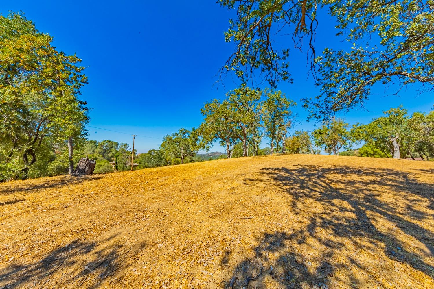 54544 020 Sunshine Terrace Dr, Coarsegold, CA 93614