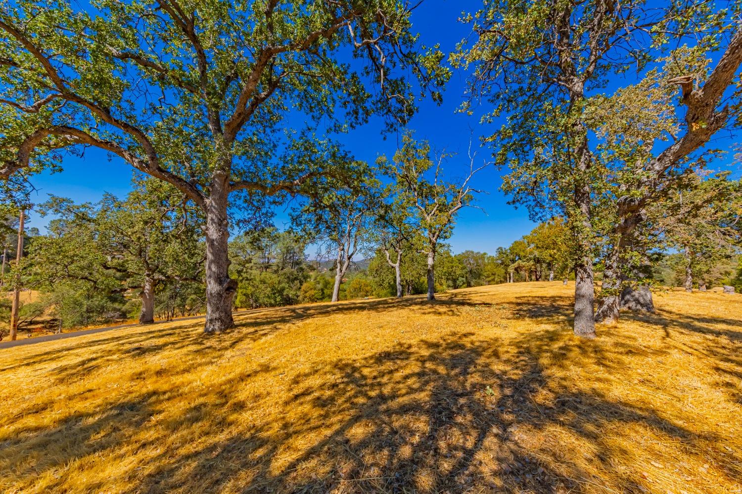 54544 020 Sunshine Terrace Dr, Coarsegold, CA 93614