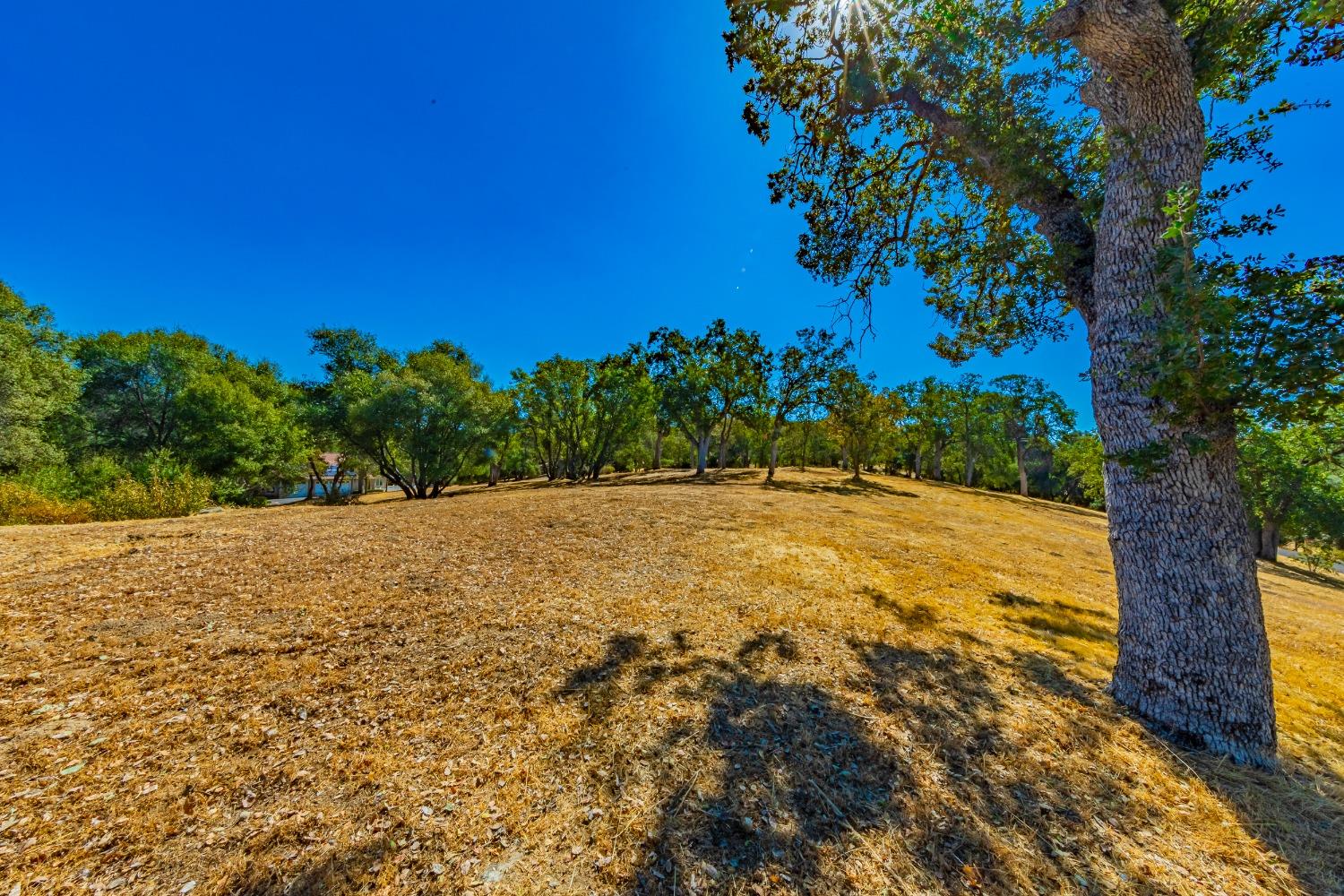 54544 020 Sunshine Terrace Dr, Coarsegold, CA 93614