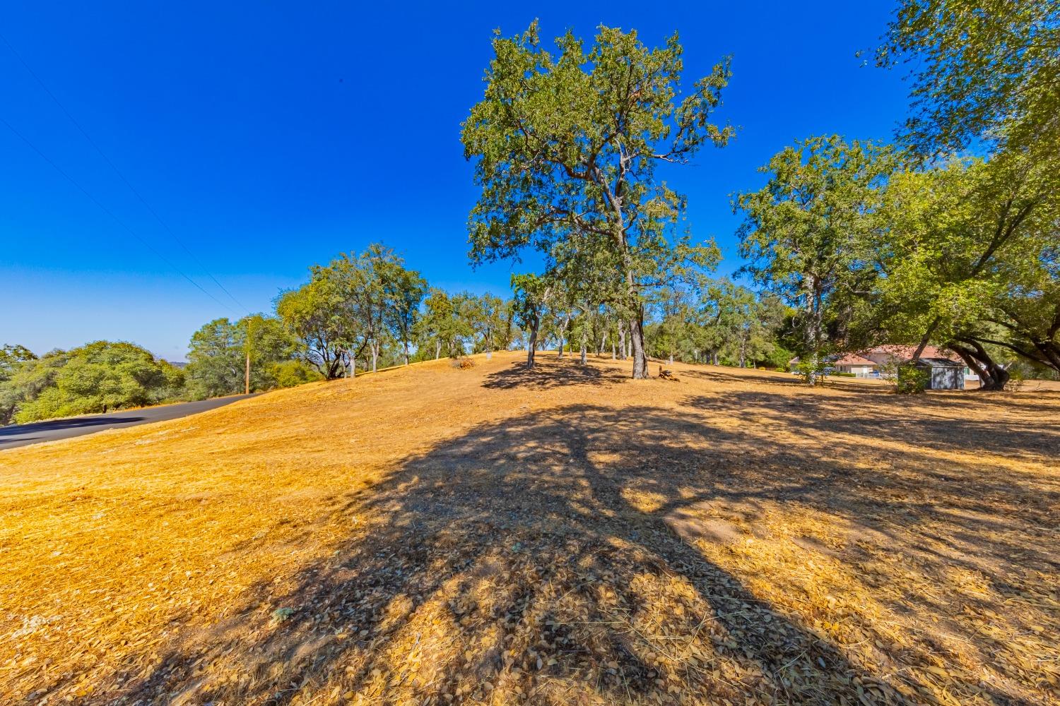 54544 020 Sunshine Terrace Dr, Coarsegold, CA 93614