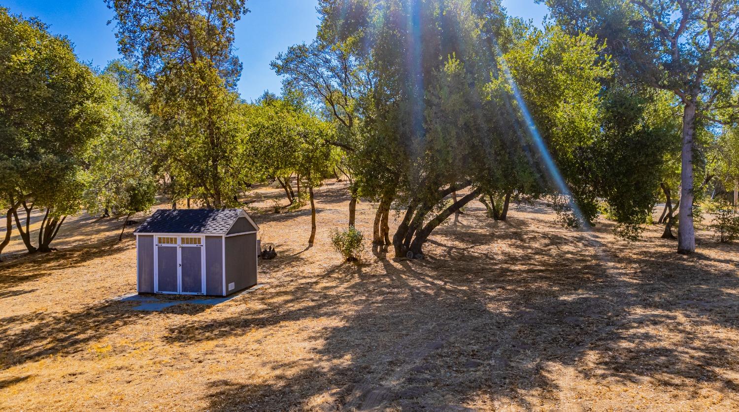 54544 020 Sunshine Terrace Dr, Coarsegold, CA 93614