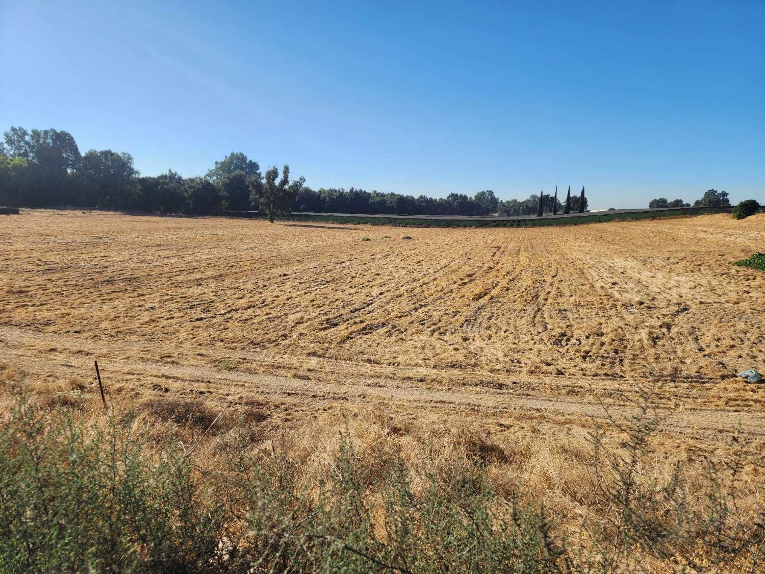 17689 E Manning Ave, Reedley, CA 93654