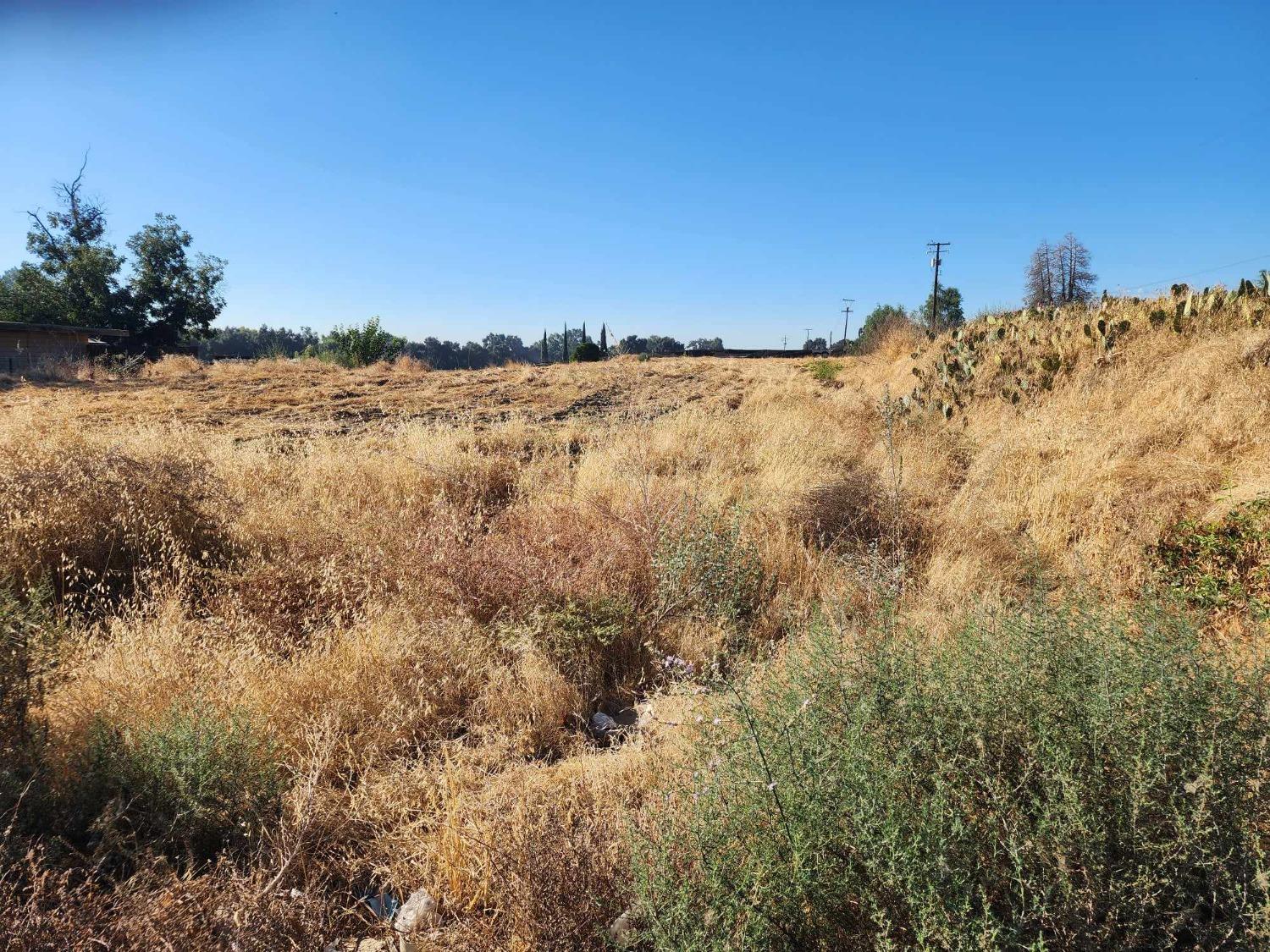 17689 E Manning Ave, Reedley, CA 93654