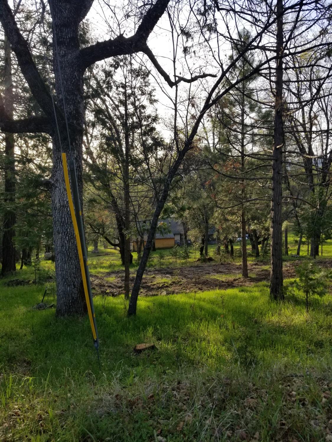 1 Oak Lane-APN 057-310-016 Ln, Oakhurst, CA 93644