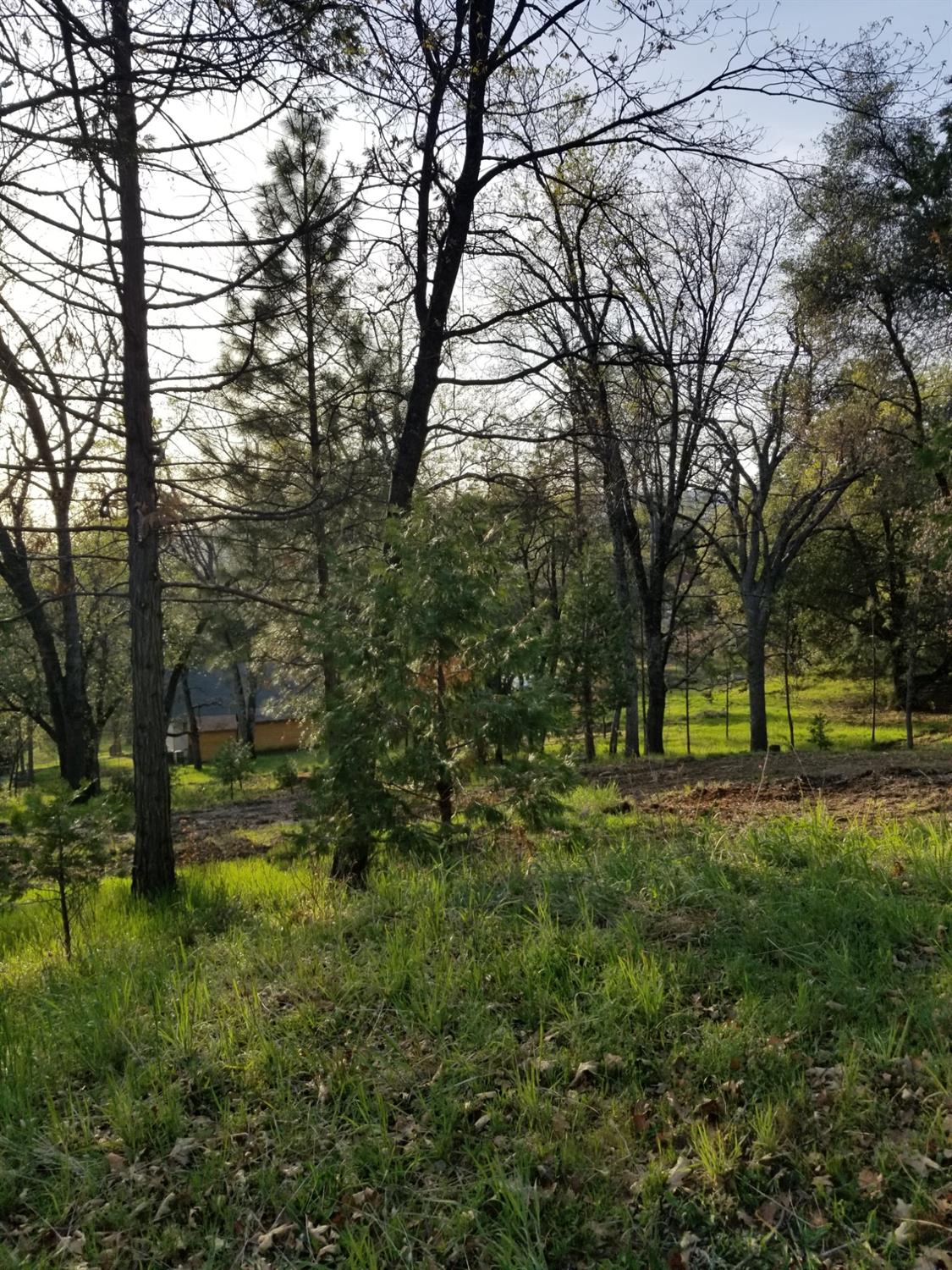 1 Oak Lane-APN 057-310-016 Ln, Oakhurst, CA 93644