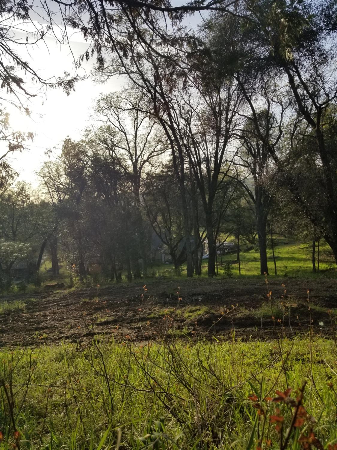 1 Oak Lane-APN 057-310-016 Ln, Oakhurst, CA 93644