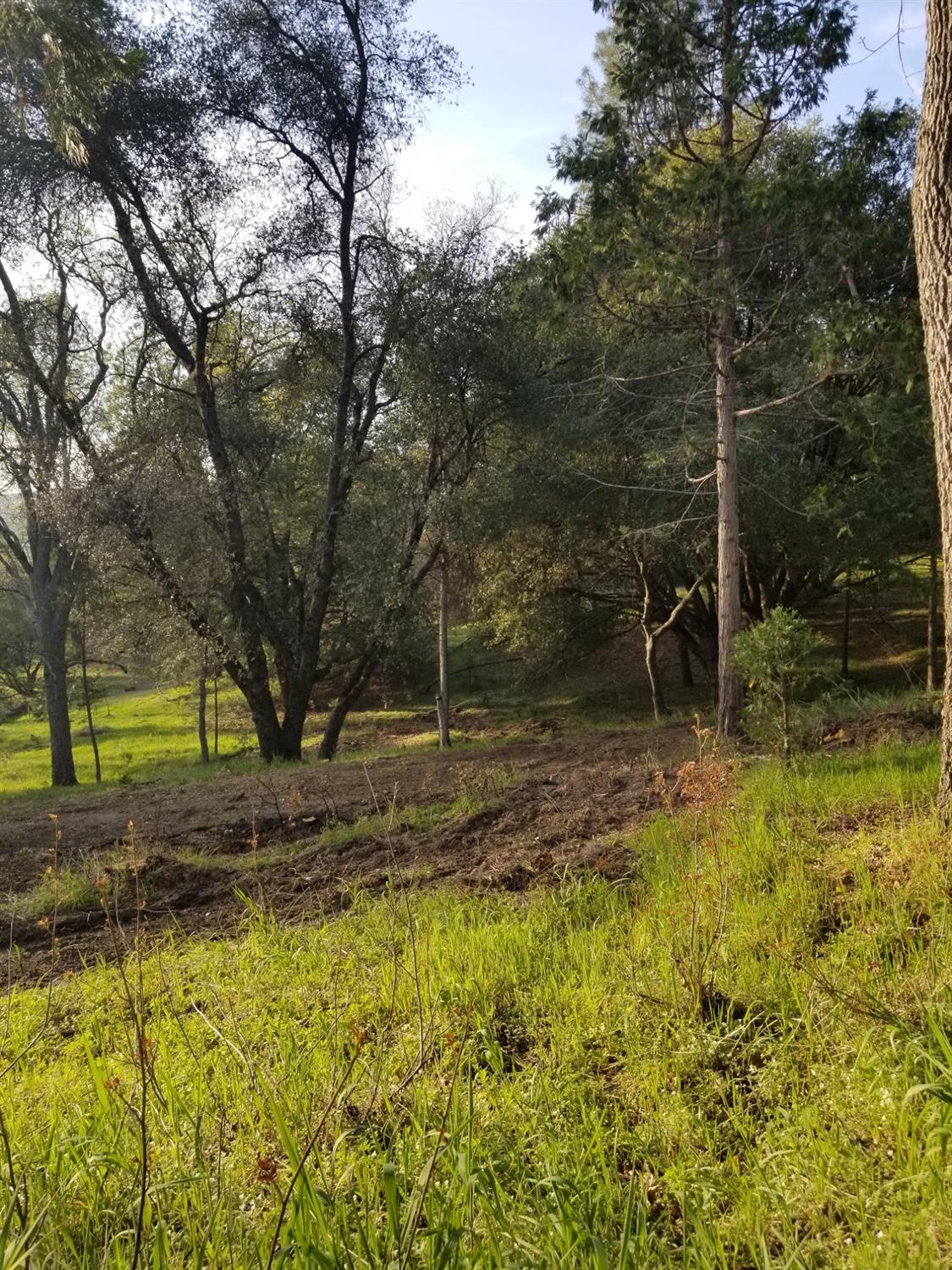 1 Oak Lane-APN 057-310-016 Ln, Oakhurst, CA 93644