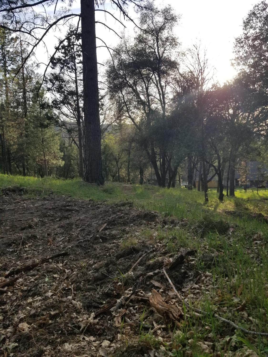 1 Oak Lane-APN 057-310-016 Ln, Oakhurst, CA 93644