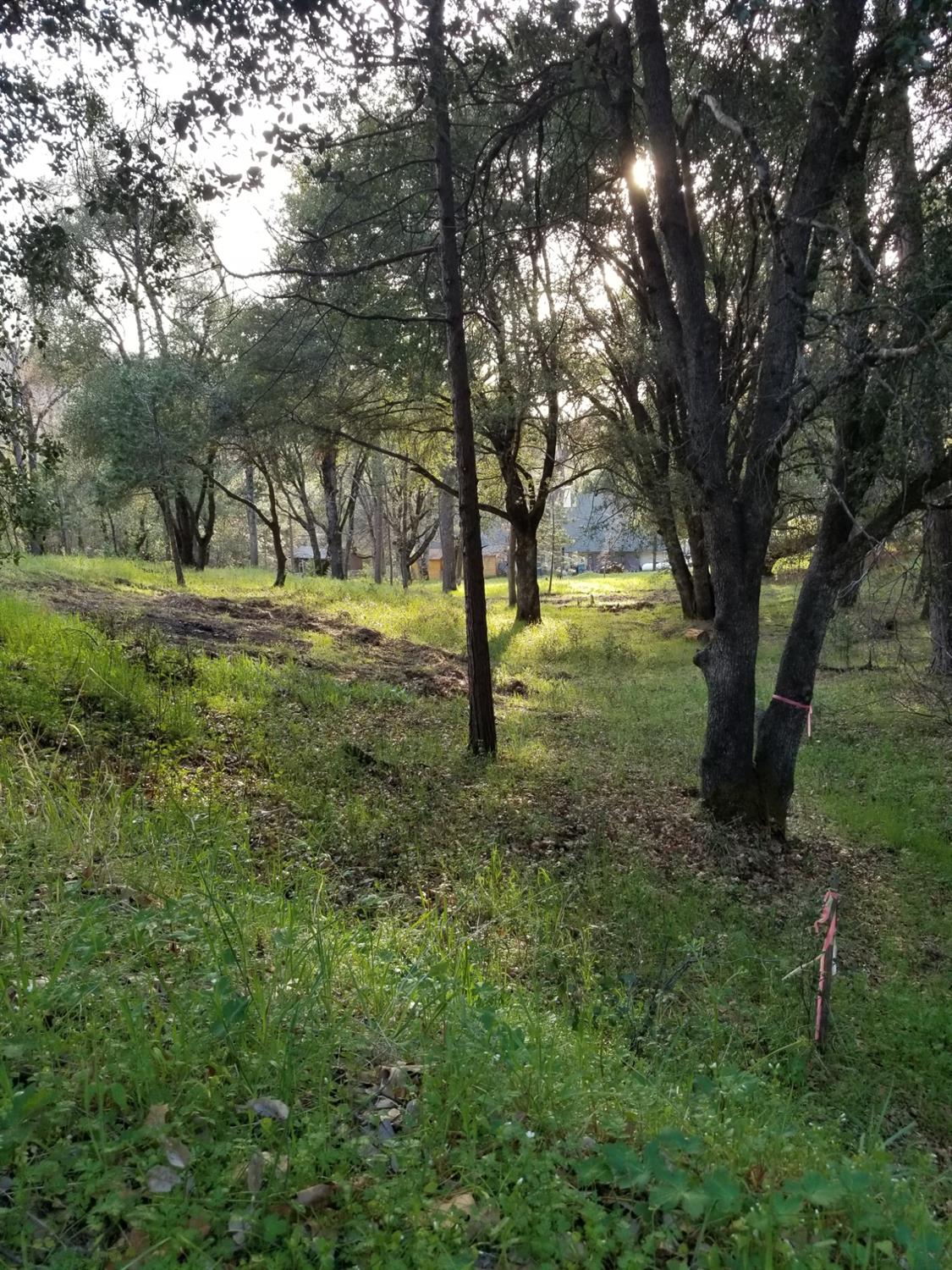 1 Oak Lane-APN 057-310-016 Ln, Oakhurst, CA 93644