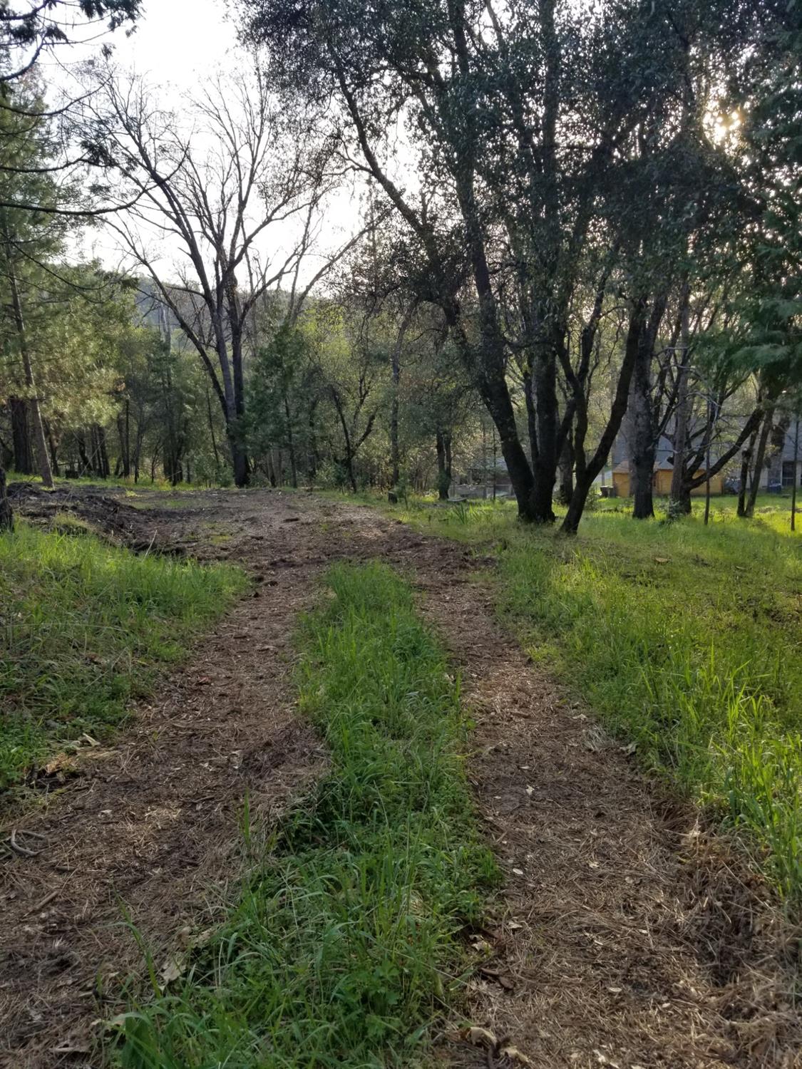 1 Oak Lane-APN 057-310-016 Ln, Oakhurst, CA 93644