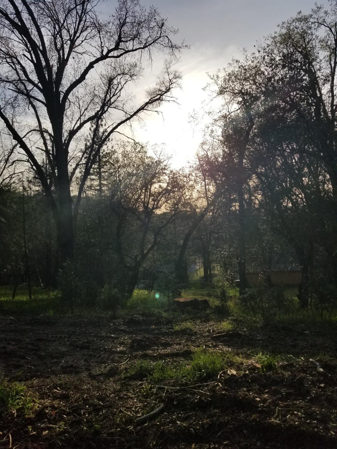 1 Oak Lane-APN 057-310-016 Ln, Oakhurst, CA 93644