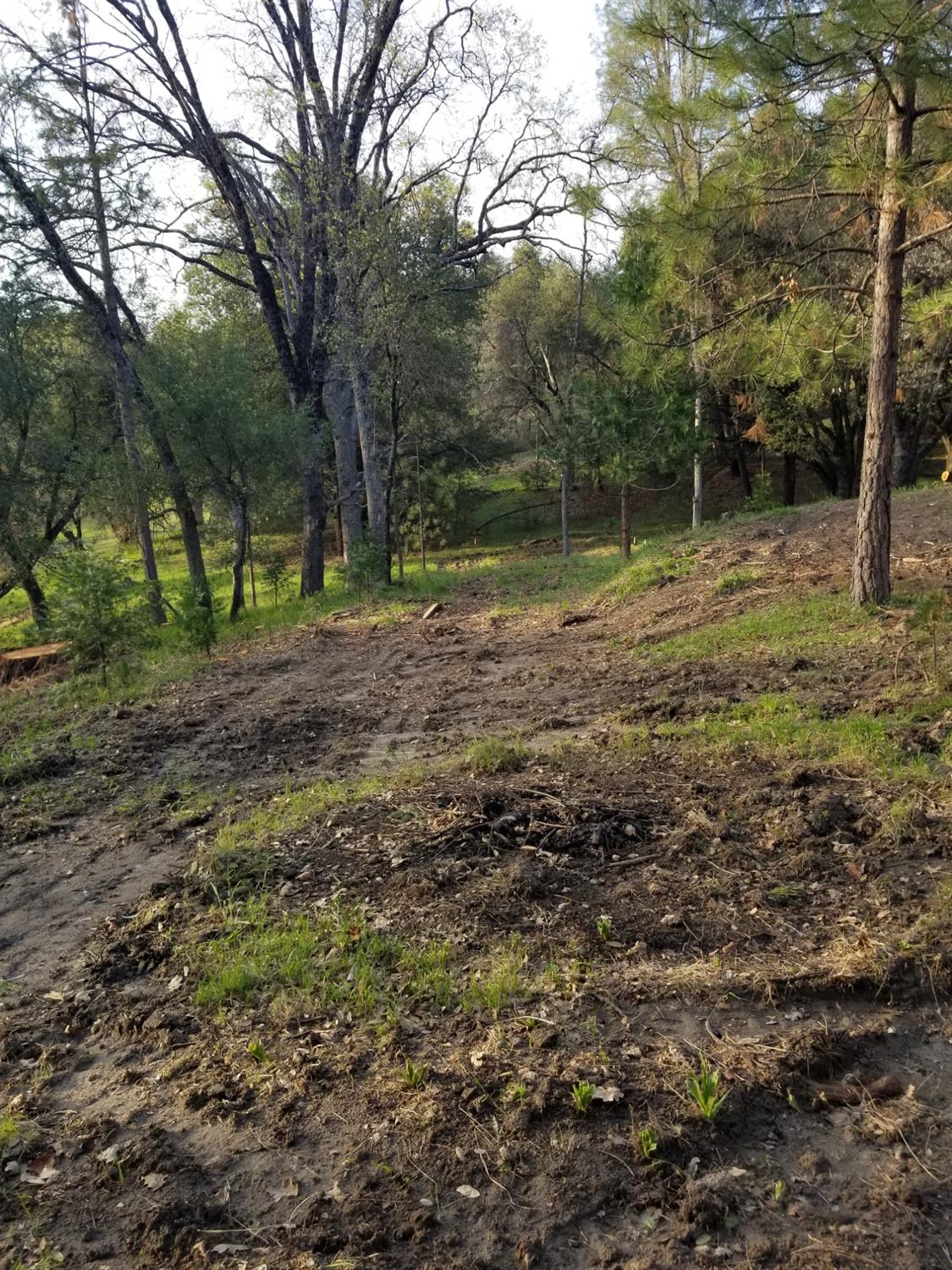 1 Oak Lane-APN 057-310-016 Ln, Oakhurst, CA 93644