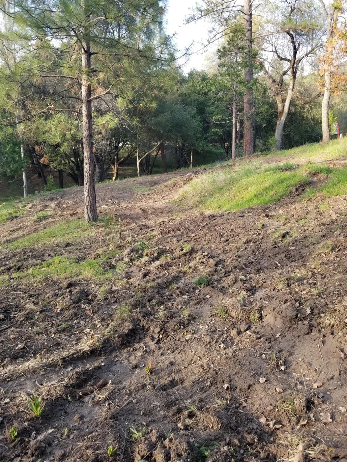 1 Oak Lane-APN 057-310-016 Ln, Oakhurst, CA 93644