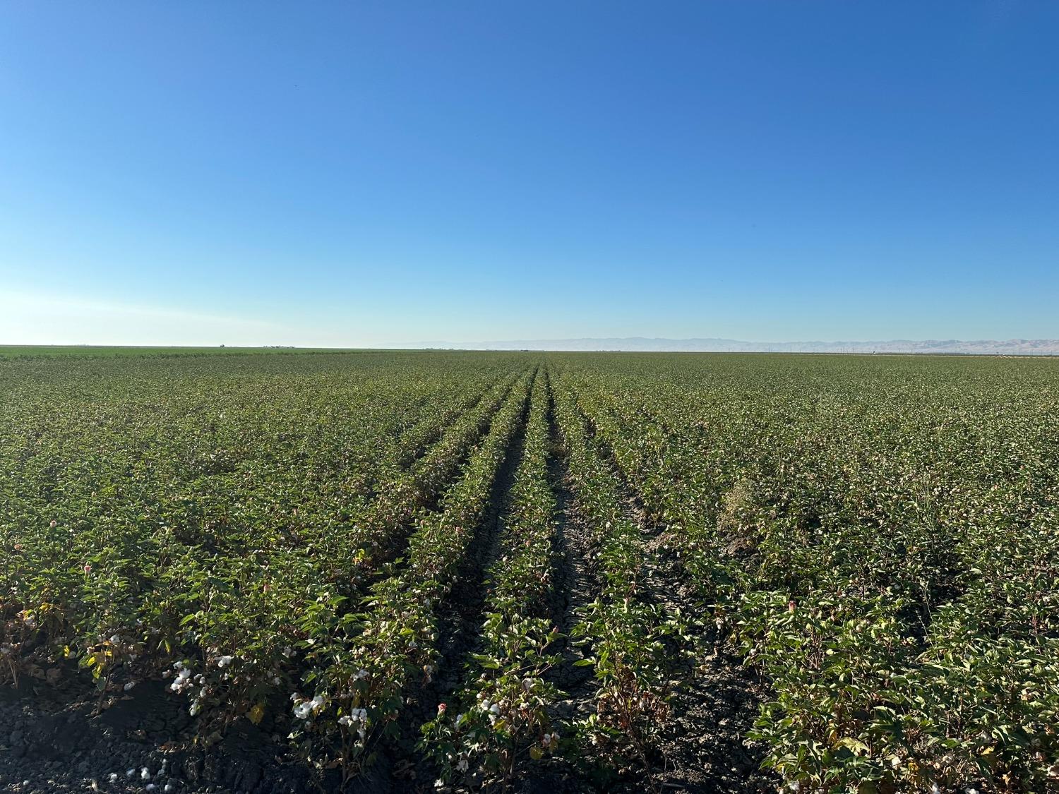 0 0 Fairfax Ave, Dos Palos, CA 93602