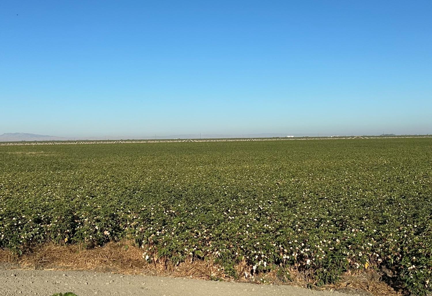 0 0 Fairfax Ave, Dos Palos, CA 93602