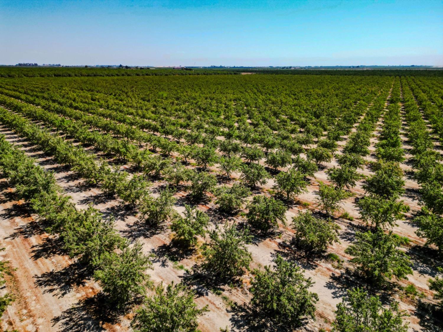 2457 E Clarkson Ave, Selma, CA 93662