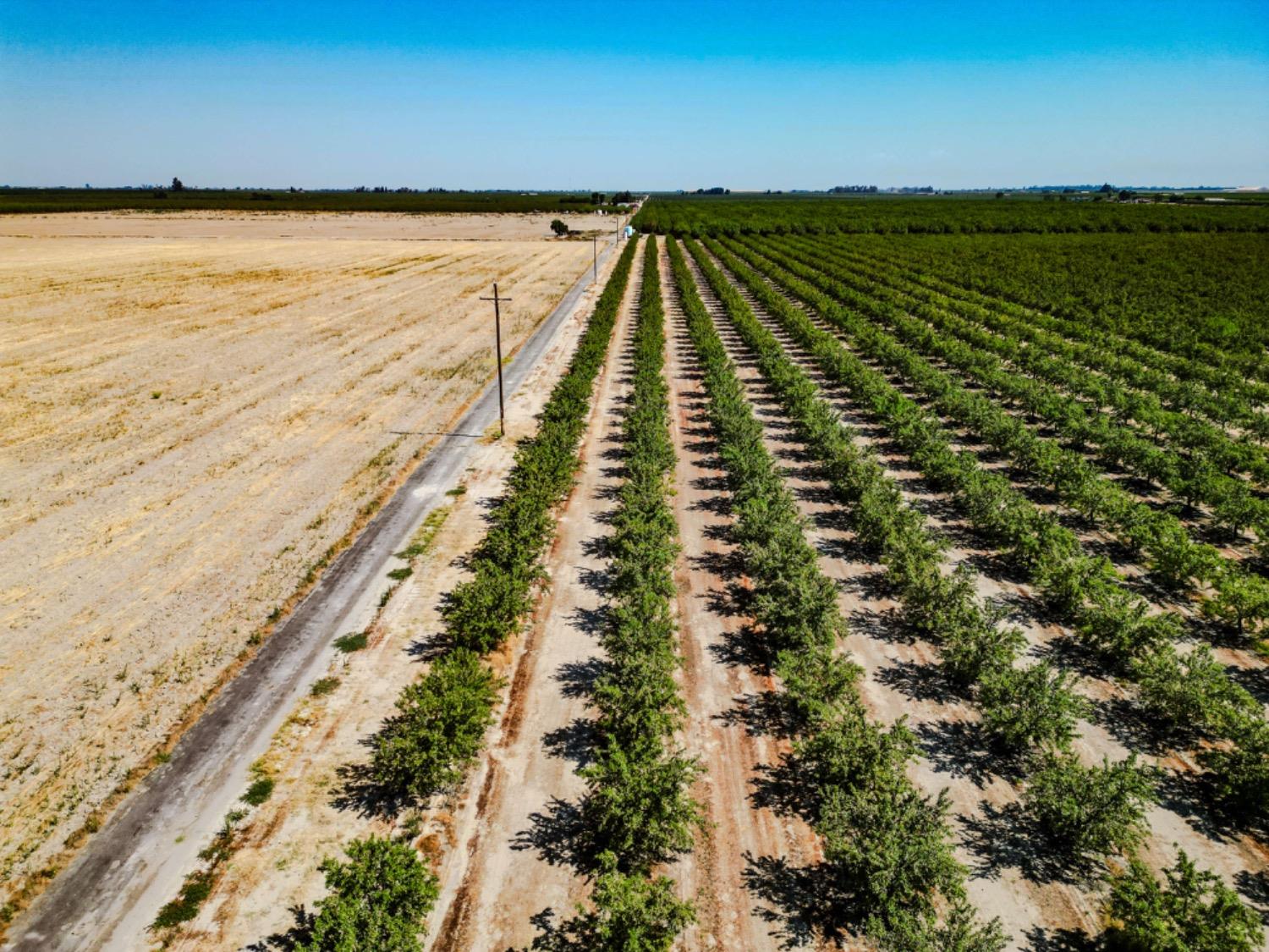 2457 E Clarkson Ave, Selma, CA 93662