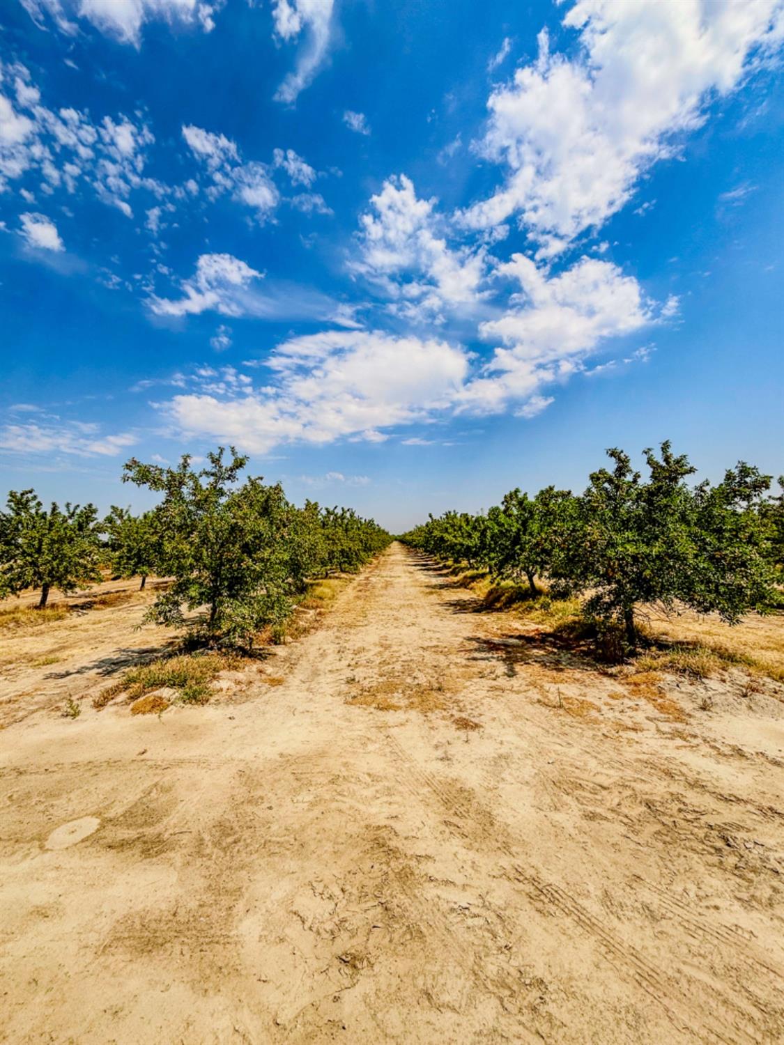 2457 E Clarkson Ave, Selma, CA 93662